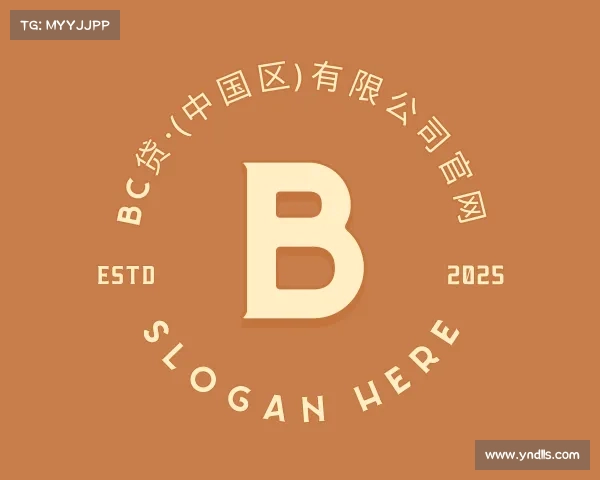 关于BC贷·(中国区)有限公司官网